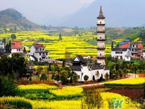 四月份去哪里旅游比較好？四月份最適合旅游的地方