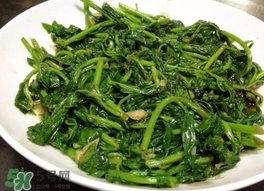 枸杞頭怎么吃？枸杞頭如何吃