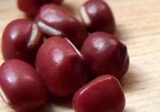 赤豆是什么豆？赤豆是紅豆嗎