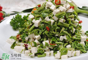 香椿可以助孕嗎？香椿有助孕的功效嗎？