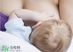 香椿會(huì)回奶嗎？吃香椿會(huì)回奶嗎？