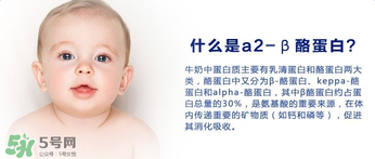 A2奶粉分幾種？A2奶粉有幾個種類？