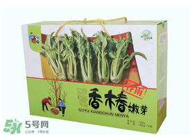 香椿能泡茶嗎？香椿茶的功效與作用
