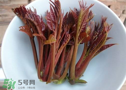 香椿和雞肉可同吃嗎？香椿和雞肉能一起吃嗎？