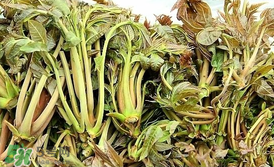 香椿和平菇能一起吃嗎？香椿和香菇能一起吃嗎？