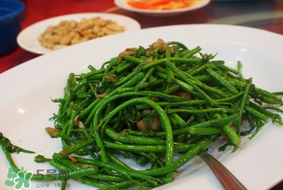 樹仔菜有毒嗎？樹仔菜有沒有毒？
