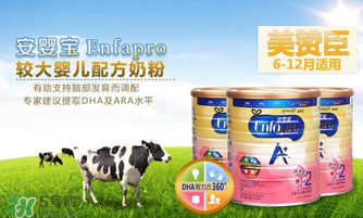 美贊臣A+荷蘭版怎么樣？美贊臣A+荷蘭版好嗎？