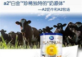 A2奶粉分白金和鉑金嗎？A2奶粉白金鉑金有區(qū)別嗎？