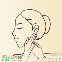 雅頓時空膠囊怎么用？伊麗莎白雅頓時空膠囊使用方法