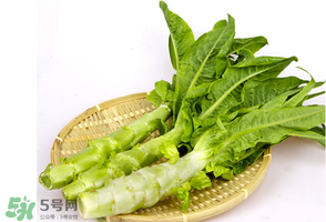 萵筍能放冰箱嗎？萵筍放冰箱能吃嗎？