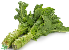 萵筍為什么會(huì)苦？萵筍苦能吃嗎？