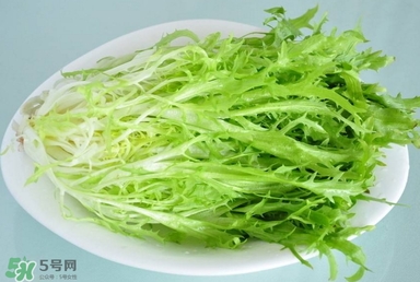 苦苣根哪里有賣？苦苣根茶在那里買的到