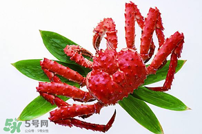 香椿能和海鮮一起吃嗎？香椿和海鮮能一起吃嗎？