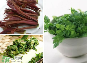 香椿和香菜能一起吃嗎？香椿和香菜怎么做？
