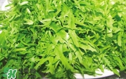 痛風(fēng)能吃苦菊嗎？苦菊痛風(fēng)人可以吃嗎