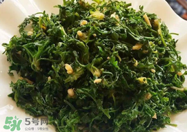 薺菜和香椿能一起吃嗎？薺菜和香椿一起吃好嗎？