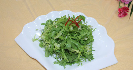 苦菊能和雞蛋一起吃嗎？苦菊可以和雞蛋一起吃嗎