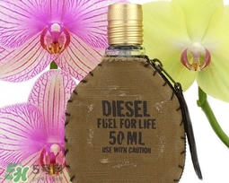 diesel迪塞爾是什么牌子？diesel是哪個(gè)國(guó)家的？