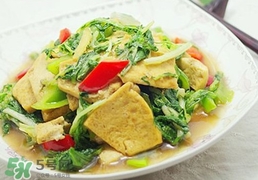 苦菊能和豆腐一起吃嗎？苦菊可以和豆腐一起吃嗎