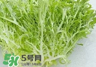 苦菊能和羊肉一起吃嗎？苦菊可以和羊肉一起吃嗎