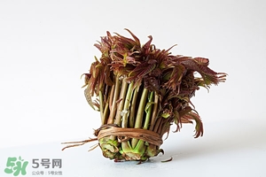 香椿樹什么時候發(fā)芽？香椿樹什么時候種植