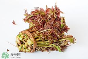 香椿樹什么時候發(fā)芽？香椿樹什么時候種植