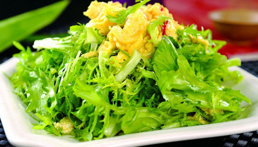 苦菊能和雞蛋一起吃嗎？苦菊可以和雞蛋一起吃嗎