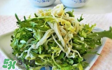 苦菊用不用焯水？涼拌苦菊用開水焯水嗎