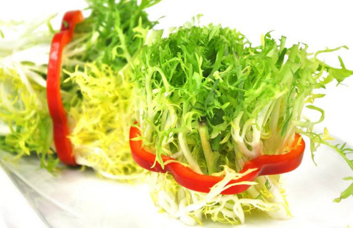 苦菊和什么相克？苦菊不能和什么同吃