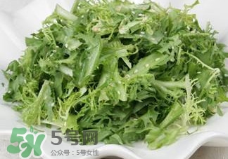 苦菊吃多了好嗎？苦菊吃多了好不