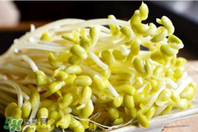 香椿和豆芽能一起吃嗎？香椿豆芽的做法大全