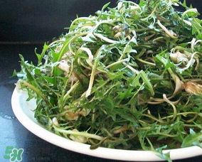 婆婆丁怎么吃？婆婆丁怎么吃最好？