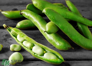 蠶豆什么時(shí)候成熟？蠶豆什么時(shí)候上市？