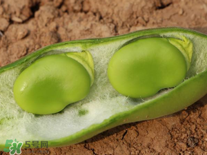 蠶豆什么時(shí)候成熟？蠶豆什么時(shí)候上市？