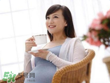 決明子泡水孕婦能喝嗎？孕婦能喝決明子泡水嗎？