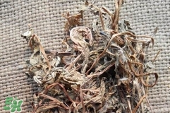 婆婆丁曬干了怎么吃?婆婆丁曬干后怎么食用?