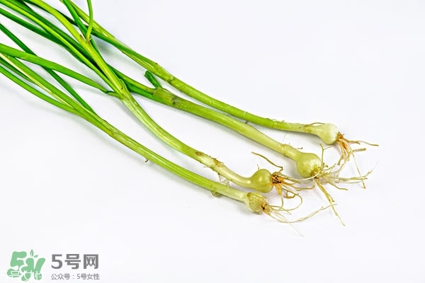 小根蒜的根能吃嗎？小根蒜的須子可以吃嗎