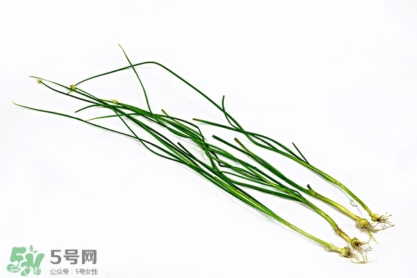 小根蒜的根能吃嗎？小根蒜的須子可以吃嗎
