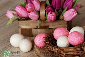 復(fù)活節(jié)怎么過？復(fù)活節(jié)可以做什么？