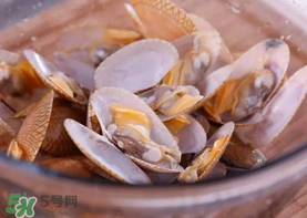 花甲怎么養(yǎng)不會死？花甲怎么養(yǎng)到用第二天？