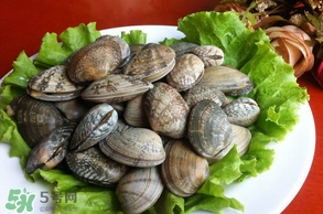 花甲不開口怎么辦？怎么讓花甲開口？