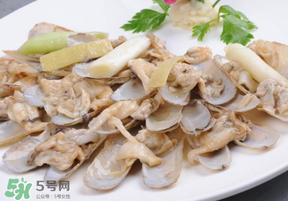 花甲怎么保存不會(huì)死？花甲怎么保存到次日？