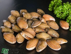 花甲為什么會(huì)苦？花甲有苦味什么原因？