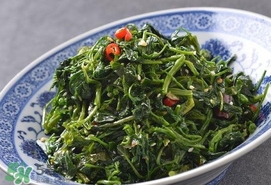 灰灰菜有什么功效？灰灰菜的功效與作用