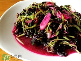 莧菜怎么摘？莧菜怎么處理