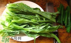 萵苣葉是什么？生菜是不是萵苣葉子