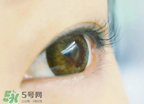 貝印和muji睫毛夾哪個(gè)好？貝印和無印良品睫毛夾對(duì)比