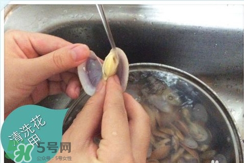 芒果螺怎么清洗？芒果螺怎么吃