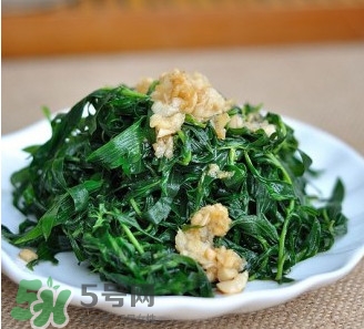 掃帚菜怎么做好吃？掃帚菜怎么吃好吃