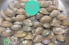 芒果螺怎么清洗？芒果螺怎么吃